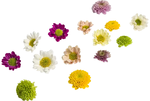 Bloem mix klein bloemig 35st